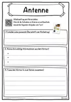 Vorschau - Unterrichtsreihen - Antenne Lückentext mit Wortspeicher Hörverstehen und Suchsel - Seite 3