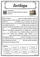 Vorschau - Unterrichtsreihen - Antilope Lückentext mit Wortspeicher Hörverstehen und Suchsel - Seite 1