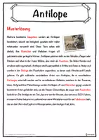 Vorschau - Unterrichtsreihen - Antilope Lückentext mit Wortspeicher Hörverstehen und Suchsel - Seite 2