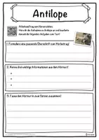 Vorschau - Unterrichtsreihen - Antilope Lückentext mit Wortspeicher Hörverstehen und Suchsel - Seite 3
