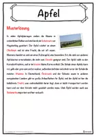 Vorschau - Unterrichtsreihen - Apfel Lückentext mit Wortspeicher Hörverstehen und Suchsel - Seite 2