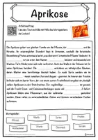 Vorschau - Unterrichtsreihen - Aprikose Lückentext mit Wortspeicher Hörverstehen und Suchsel - Seite 1