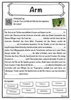 Vorschau - Unterrichtsreihen - Arm Lückentext mit Wortspeicher Hörverstehen und Suchsel - Seite 1