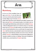 Vorschau - Unterrichtsreihen - Arm Lückentext mit Wortspeicher Hörverstehen und Suchsel - Seite 2