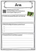 Vorschau - Unterrichtsreihen - Arm Lückentext mit Wortspeicher Hörverstehen und Suchsel - Seite 3