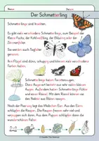 Vorschau - Arbeitsblätter - Der Schmetterling - Lesetext und Aufgaben zum Leseverständnis - Seite 2