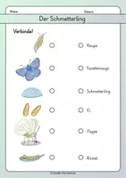 Vorschau - Arbeitsblätter - Der Schmetterling - Lesetext und Aufgaben zum Leseverständnis - Seite 3