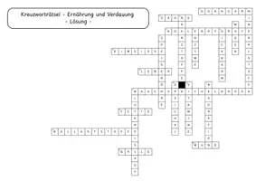Vorschau - Arbeitsblätter - Kreuzworträtsel Ernährung und Verdauung Rätselmaterial mit Lösung zu Nährstoffen, Verdauungsorganen, Resorption, Enzymen und Stoffwechsel - Seite 3