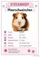 Vorschau - Poster - Haustiere_Steckbriefe_Sachunterricht - Seite 2