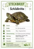 Vorschau - Poster - Haustiere_Steckbriefe_Sachunterricht - Seite 3