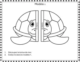 Aperçu - Préparation de séance / Séance complète - Cycle de vie de la Tortue De Mer Activité Science - Page 2
