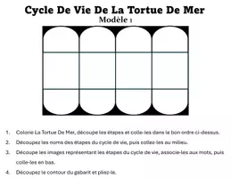 Aperçu - Préparation de séance / Séance complète - Cycle de vie de la Tortue De Mer Activité Science - Page 3