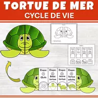 Aperçu - Préparation de séance / Séance complète - Cycle de vie de la Tortue De Mer Activité Science - Page de couverture