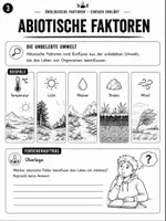 Vorschau - Stundenentwürfe - Ökologische Faktoren einfach erklärt | Biologie EF–Q2 | Toleranzkurven, ökologische Potenz, Konkurrenz & Räuber-Beute | Arbeitsheft mit Klausurtraining - Seite 3