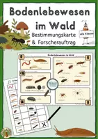Vorschau - Spiele - Materialpaket Wald Klasse 3-6 - Seite 1