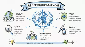 Vorschau - Arbeitsblätter - Lernposter + Arbeitsblätter zum Thema "Weltgesundheitsorganisation (WHO)" + Lösung & MP3 + Mindmap + Infografiken - Seite 2