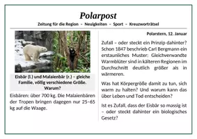 Vorschau - Stundenentwürfe - Mystery - Bergmannsche Regel (Ökologie) - Seite 2