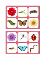 Aperçu - Apprentissages en autonomie - Loto du Printemps 4 joueurs dès 2 ans - Page 1