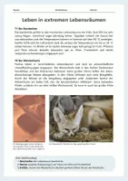Vorschau - Arbeitsblätter - Leben in extremen Lebensräumen – Anpassungen von Eisbär, Kaiserpinguin, Wüstenfuchs und Dromedar - Seite 3