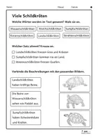 Vorschau - Arbeitsblätter - Schildkröten - Lesetext und Arbeitsblätter für Klasse 2 | 3 Niveaustufen | GS, DaZ, Förder - Seite 3