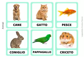 anteprima - Flashcard - Flashcards del linguaggio - 365 carte di vocabolario - Pagina 1