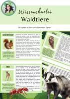 Vorschau - Stationenlernen - Wissenskartei Waldtiere / Lesekartei / Sachunterricht - Deckblatt