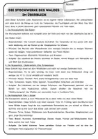 Vorschau - Text - Infotexte zum Wald / Sachtexte / Lesetexte - Seite 2
