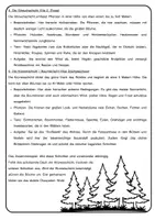 Vorschau - Text - Infotexte zum Wald / Sachtexte / Lesetexte - Seite 3