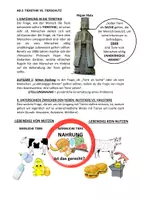 Vorschau - Arbeitsblätter - Tierethik vs. Tierschutz (Tierethik AB 2) - Seite 3