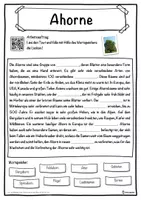 Vorschau - Unterrichtsreihen - Ahorne Lückentext mit Wortspeicher Hörverstehen und Suchsel - Seite 1