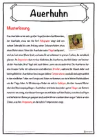 Vorschau - Unterrichtsreihen - Auerhuhn Lückentext mit Wortspeicher Hörverstehen und Suchsel - Seite 2