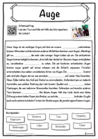 Vorschau - Unterrichtsreihen - Auge Lückentext mit Wortspeicher Hörverstehen und Suchsel - Seite 1