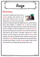 Vorschau - Unterrichtsreihen - Auge Lückentext mit Wortspeicher Hörverstehen und Suchsel - Seite 2