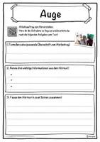Vorschau - Unterrichtsreihen - Auge Lückentext mit Wortspeicher Hörverstehen und Suchsel - Seite 3