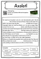 Vorschau - Unterrichtsreihen - Axolotl Lückentext mit Wortspeicher Hörverstehen und Suchsel - Seite 1