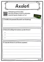 Vorschau - Unterrichtsreihen - Axolotl Lückentext mit Wortspeicher Hörverstehen und Suchsel - Seite 3