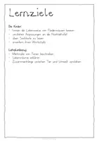 Vorschau - Arbeitsblätter - abwechslungsreiche Fledermaus Arbeitsblätter - Seite 1