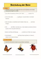 Vorschau - Arbeitsblätter - Bestäubung einer Blüte entdecken - Deckblatt