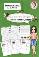 Vorschau - Stationenlernen - Biene Sachunterricht Steckbriefe | Hummel Wespe Klasse 1-4 - Deckblatt