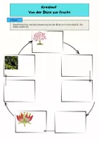 Vorschau - Stationenlernen - Kreislauf - Von der Blüte zur Frucht - Deckblatt