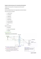 Vorschau - Arbeitsblätter - Mündliche Physikprüfung Klasse 10 – Optik (Lehrer- & Schülerversion + Checkliste) - Seite 2
