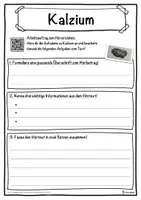 Vorschau - Unterrichtsreihen - Kalzium Lückentext mit Wortspeicher Hörverstehen und Suchsel - Seite 3