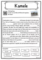 Vorschau - Unterrichtsreihen - Kamele Lückentext mit Wortspeicher Hörverstehen und Suchsel - Seite 1
