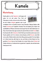 Vorschau - Unterrichtsreihen - Kamele Lückentext mit Wortspeicher Hörverstehen und Suchsel - Seite 2