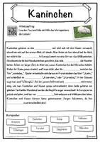 Vorschau - Unterrichtsreihen - Kaninchen Lückentext mit Wortspeicher Hörverstehen und Suchsel - Seite 1