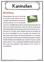 Vorschau - Unterrichtsreihen - Kaninchen Lückentext mit Wortspeicher Hörverstehen und Suchsel - Seite 2