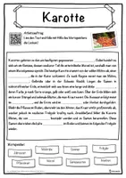 Vorschau - Unterrichtsreihen - Karotte Lückentext mit Wortspeicher Hörverstehen und Suchsel - Seite 1