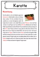 Vorschau - Unterrichtsreihen - Karotte Lückentext mit Wortspeicher Hörverstehen und Suchsel - Seite 2