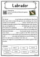 Vorschau - Unterrichtsreihen - Labrador Lückentext mit Wortspeicher Hörverstehen und Suchsel - Seite 1