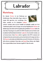 Vorschau - Unterrichtsreihen - Labrador Lückentext mit Wortspeicher Hörverstehen und Suchsel - Seite 2